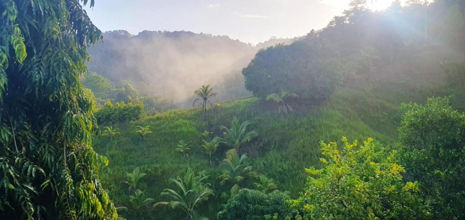 Las Cuevas Beach Lodge Luaran gambar