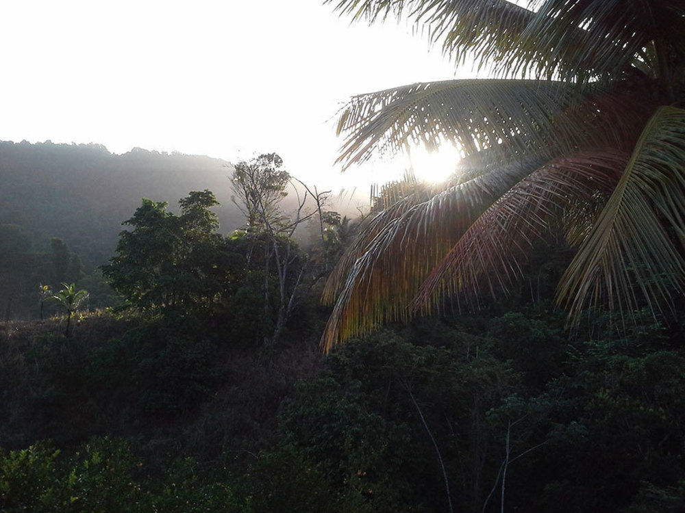 Las Cuevas Beach Lodge Luaran gambar