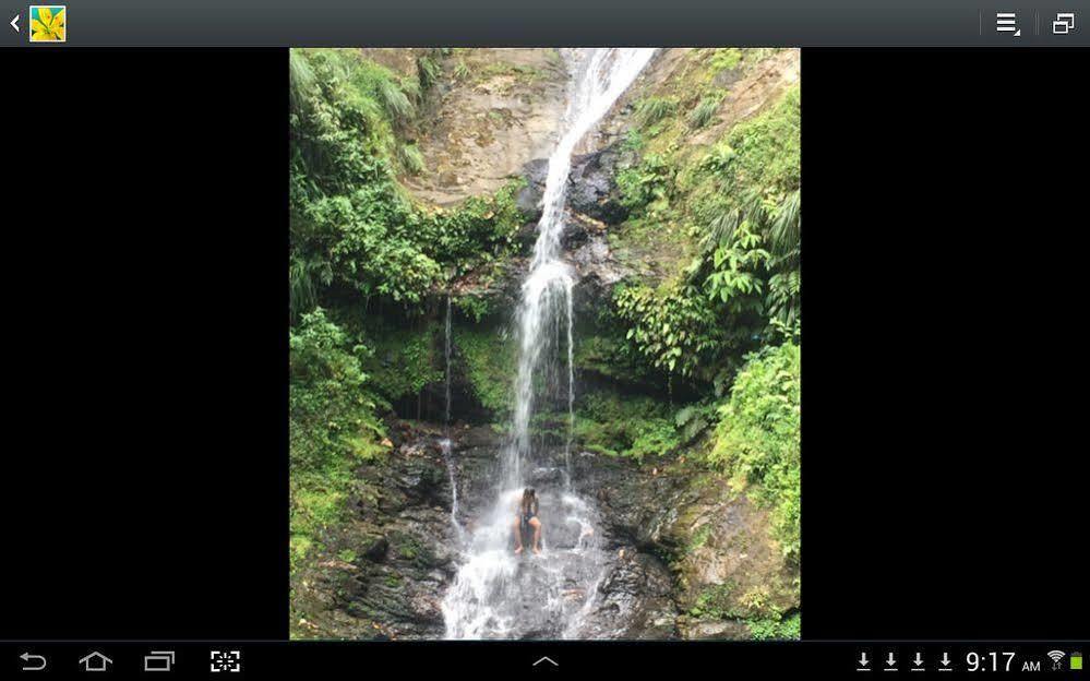 Las Cuevas Beach Lodge Luaran gambar